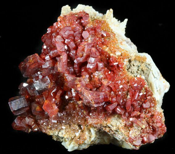 Lustrous Red Vanadinite Crystals on Barite - Morocco #45692